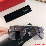Front view of Cartier unisex sunglasses
