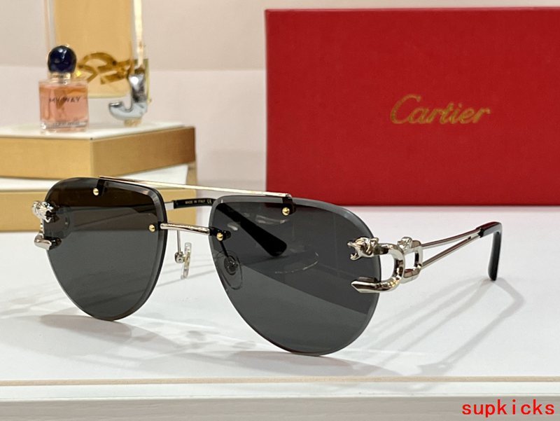 Close-up detail view of Cartier unisex sunglasses