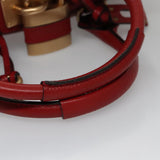 Celestique elegant leather Handbag top view