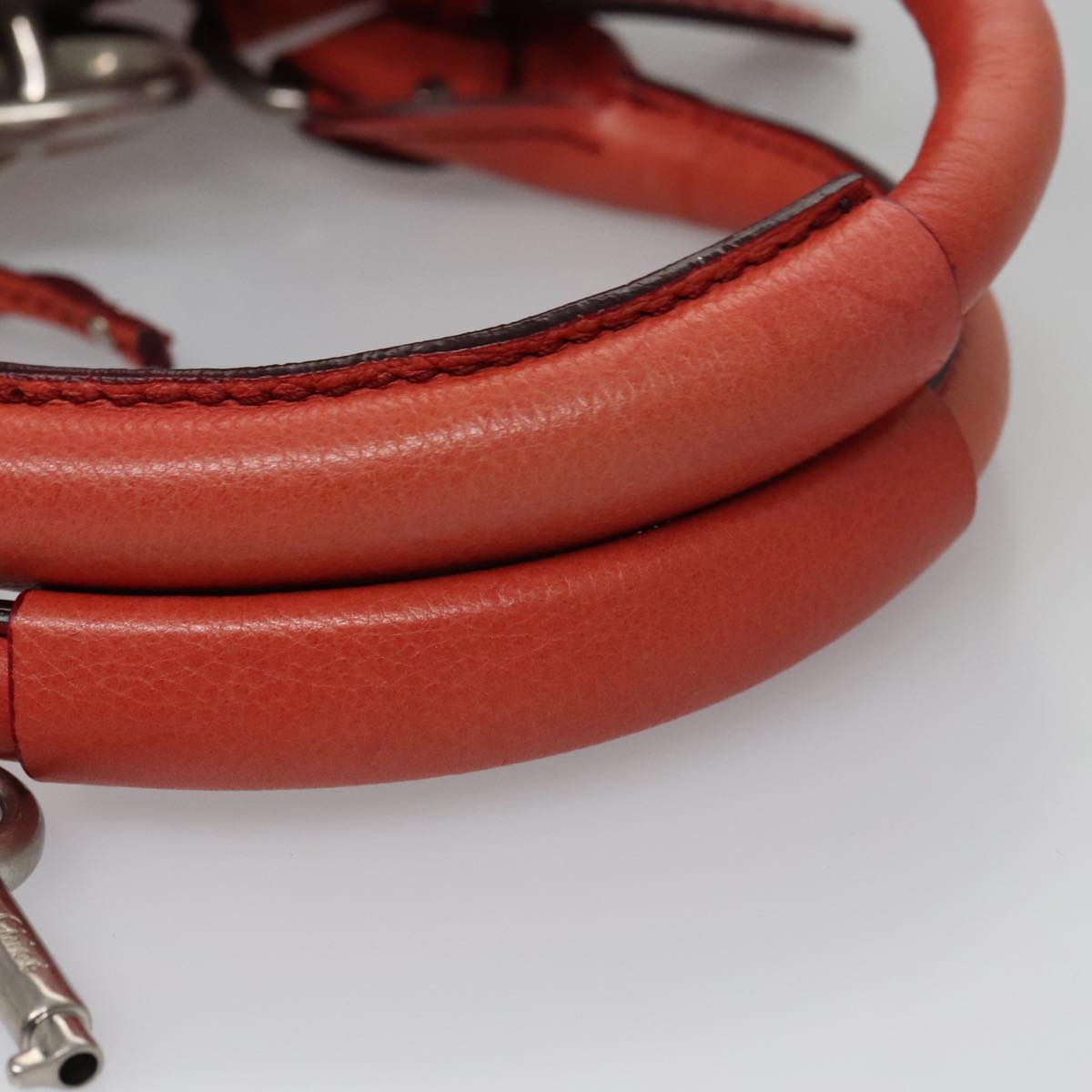 Chloe designer handbag leather closeup detail