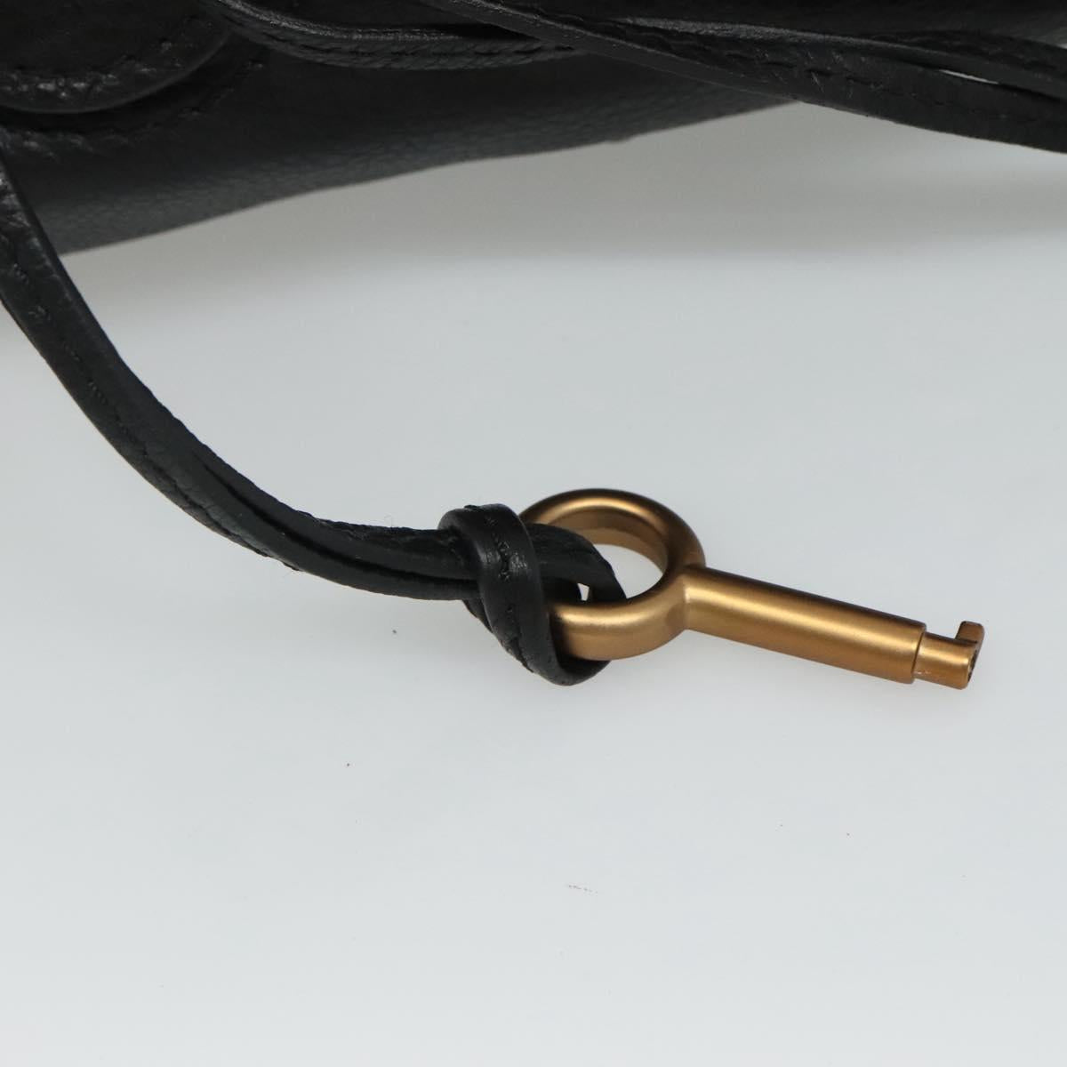 Chloe women's handbag Black luxury designer leather