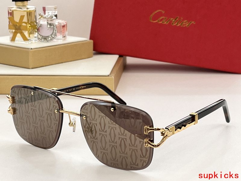 Lifestyle view of Cartier unisex sunglasses