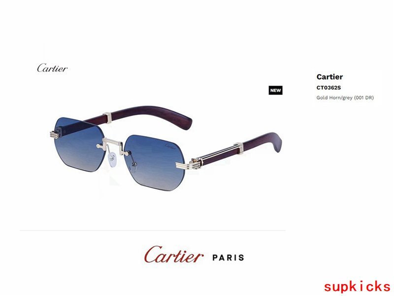 Front view of Cartier unisex sunglasses