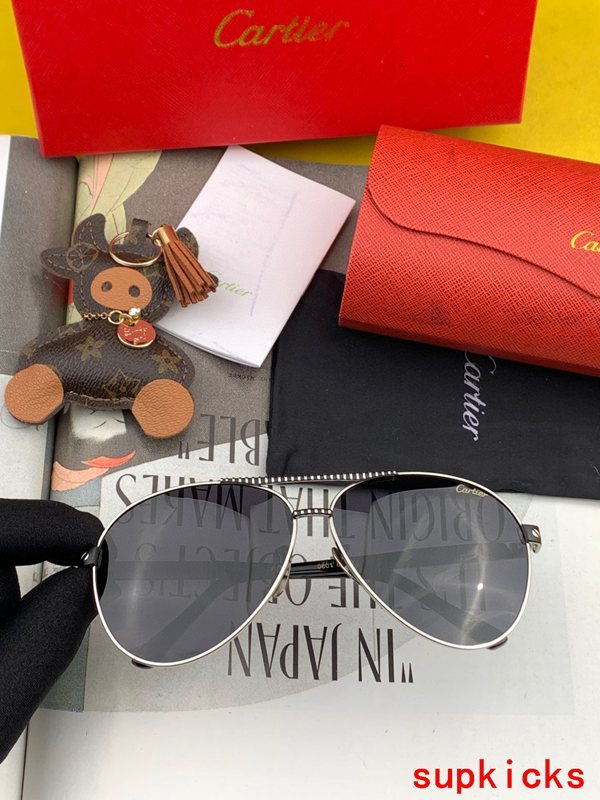Full view of Cartier unisex sunglasses