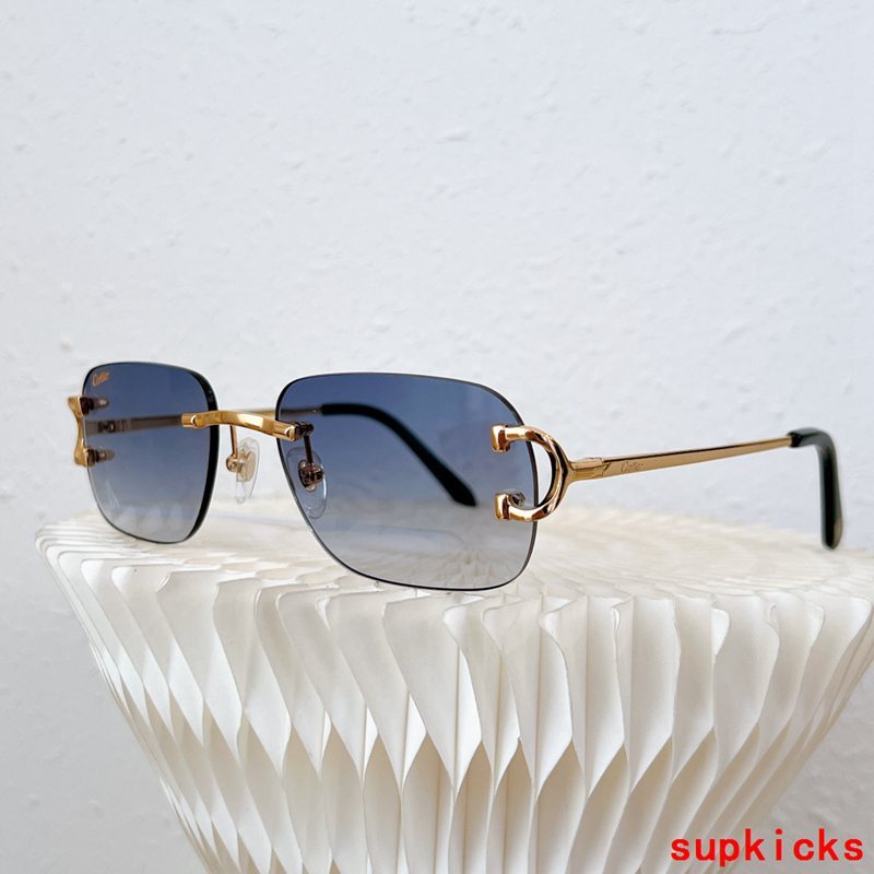 Full view of Cartier unisex sunglasses