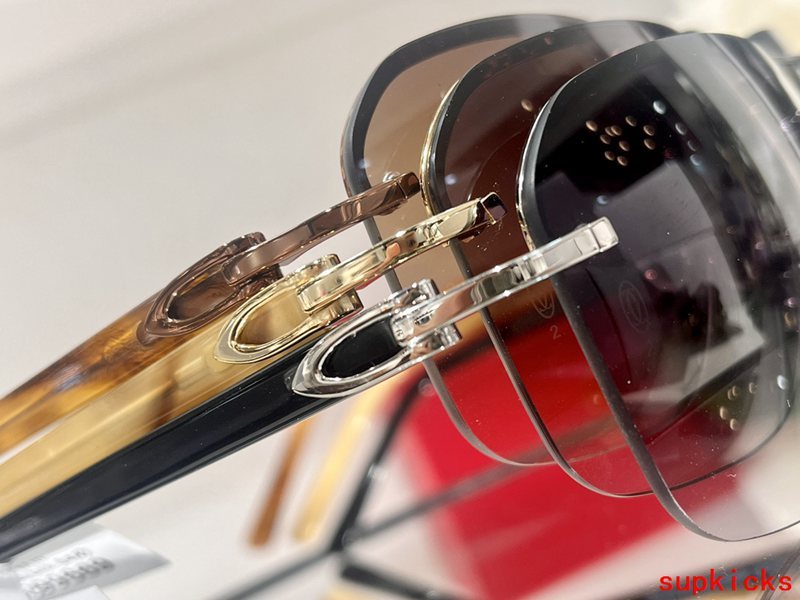 Side view of Cartier unisex sunglasses