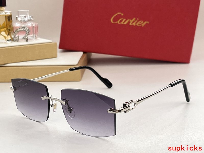 Side view of Cartier unisex sunglasses