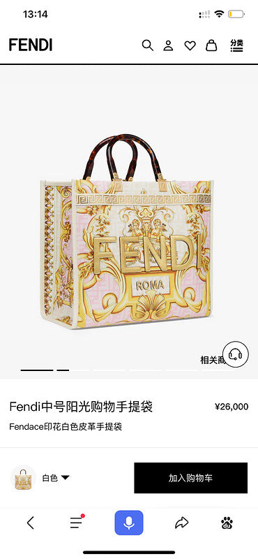 Ziva's Charm handbag – full view (35cm*17cm*31cm)
