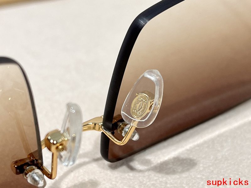 Close-up detail view of Cartier unisex sunglasses