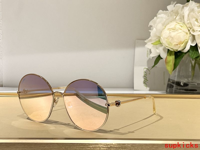 Close-up detail view of Cartier unisex sunglasses