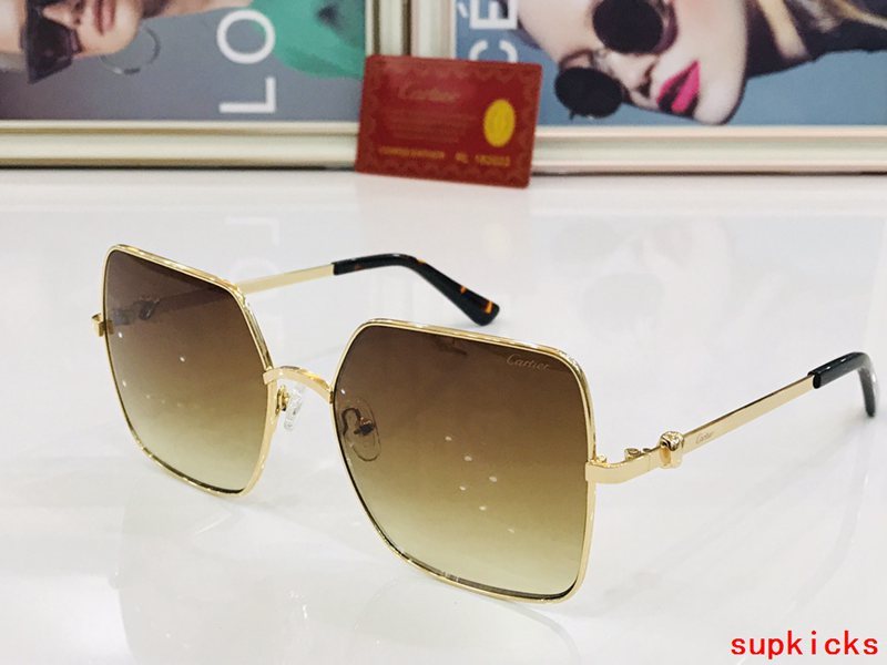 Close-up detail view of Cartier unisex sunglasses