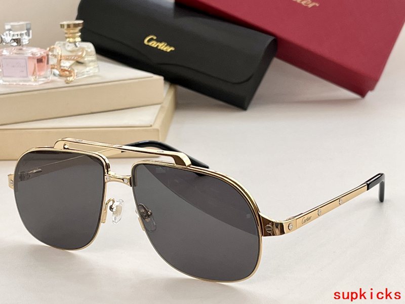 Side view of Cartier unisex sunglasses