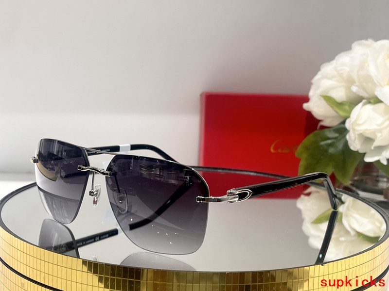 Full view of Cartier unisex sunglasses