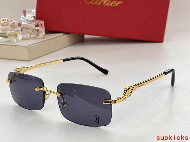 Lifestyle view of Cartier unisex sunglasses
