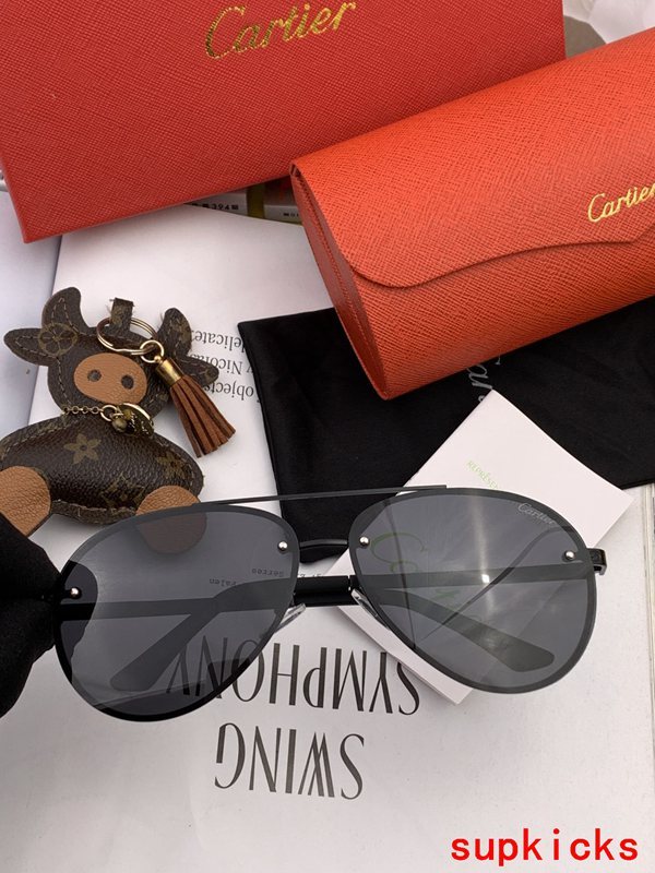 Front view of Cartier unisex sunglasses