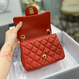  versatile purse view 2