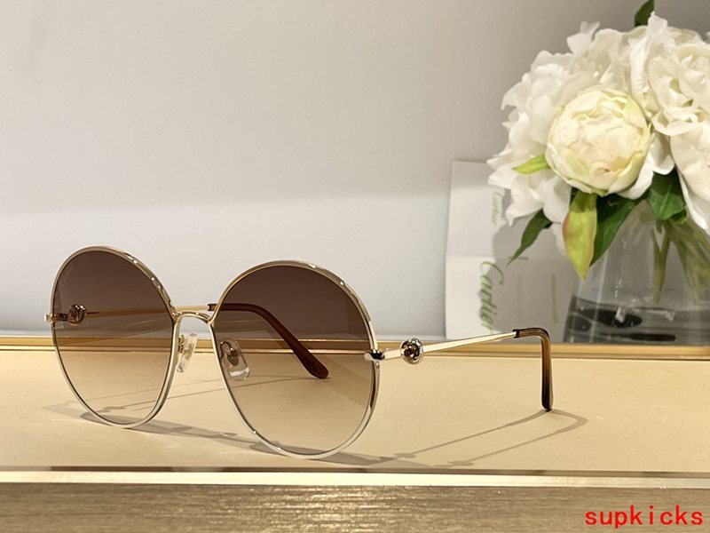 Angled view of Cartier unisex sunglasses