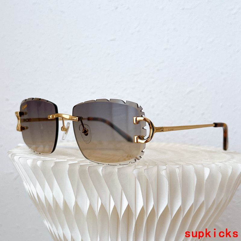 Angled view of Cartier unisex sunglasses
