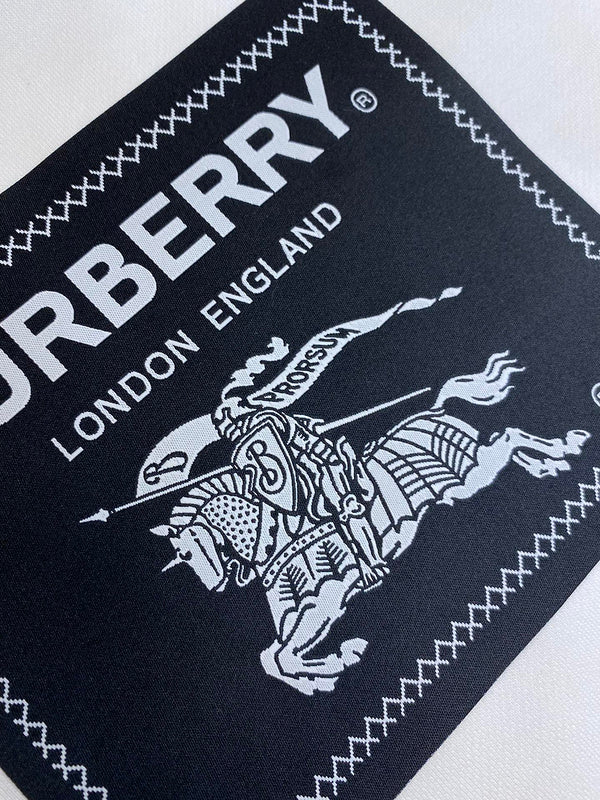 Burberry clothing styling view — premium authentic designer style