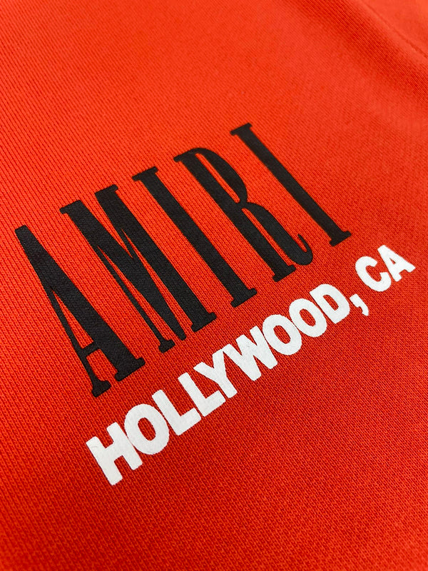 Amiri hoodie back view — premium authentic designer style