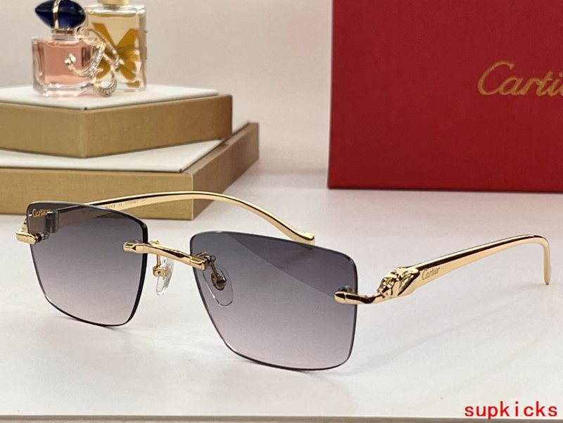 Side view of Cartier unisex sunglasses