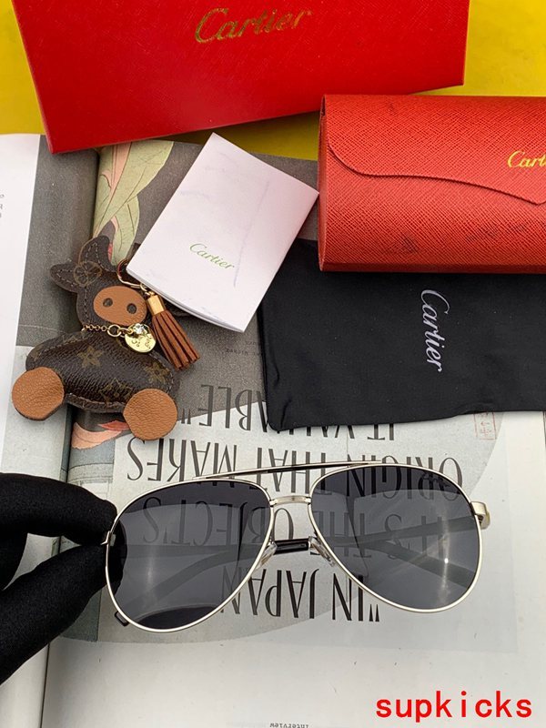 Full view of Cartier unisex sunglasses