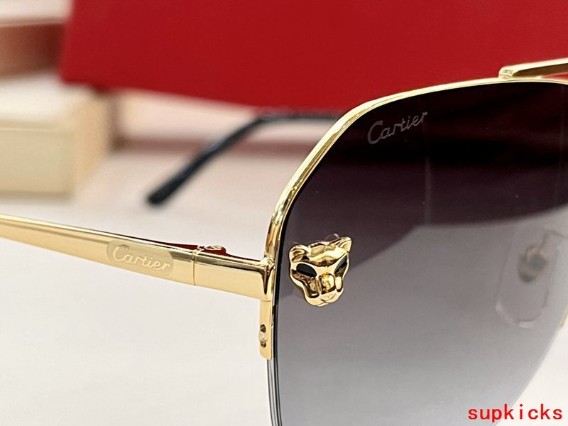 Close-up detail view of Cartier unisex sunglasses