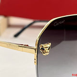 Close-up detail view of Cartier unisex sunglasses