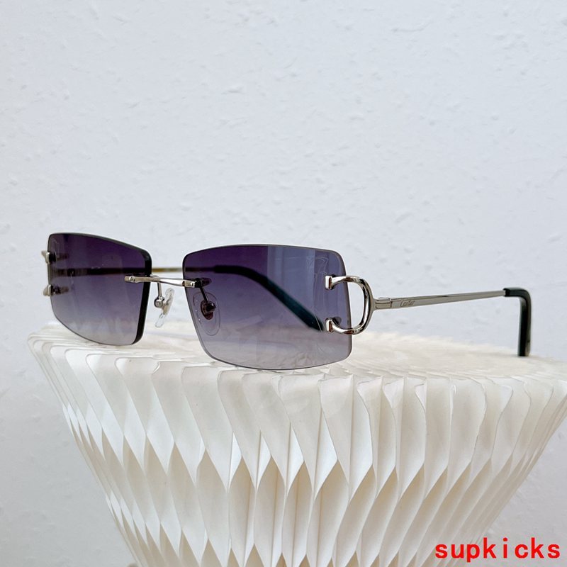 Front view of Cartier unisex sunglasses