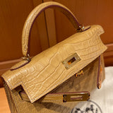 Interior view of crisp premium bag