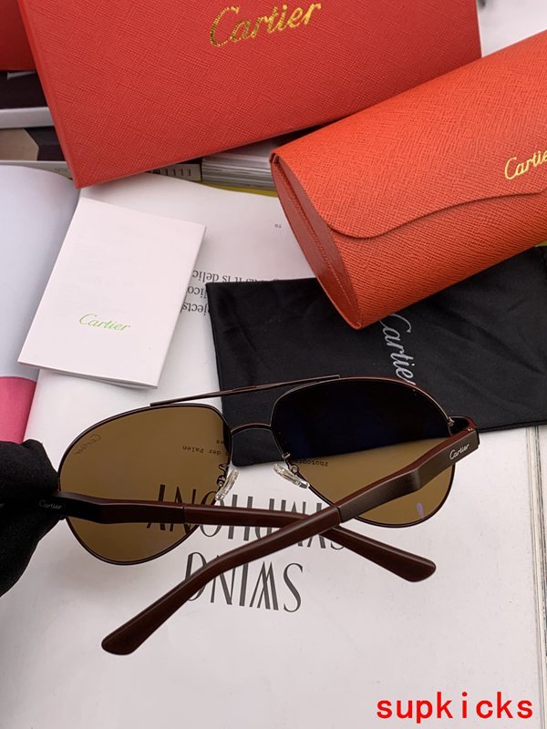 Front view of Cartier unisex sunglasses