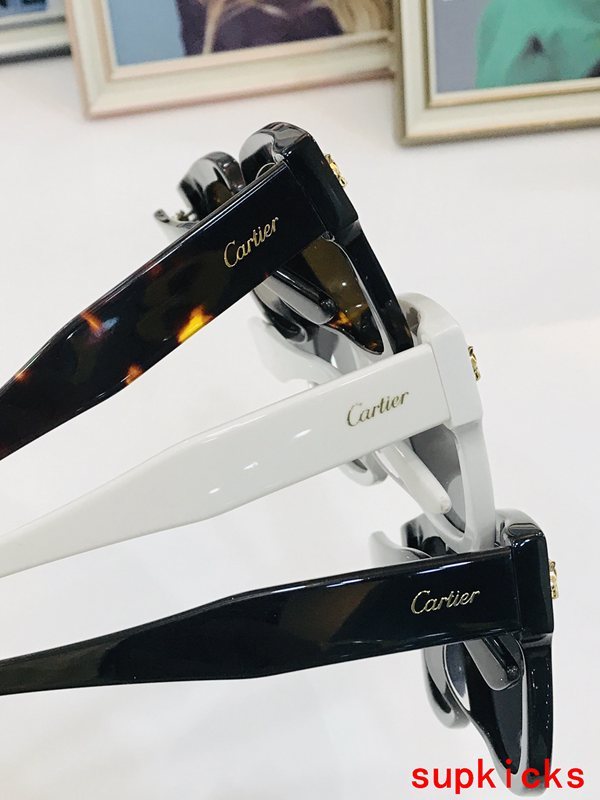 Front view of Cartier unisex sunglasses