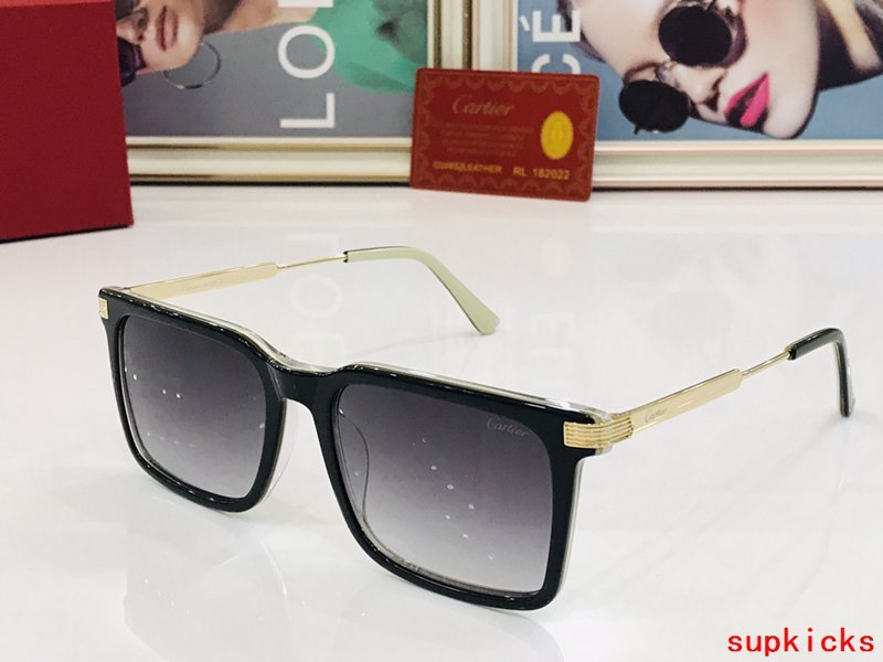 Full view of Cartier unisex sunglasses