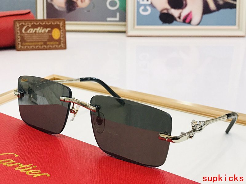Full view of Cartier unisex sunglasses