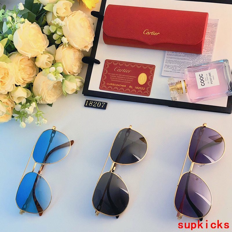 Side view of Cartier unisex sunglasses