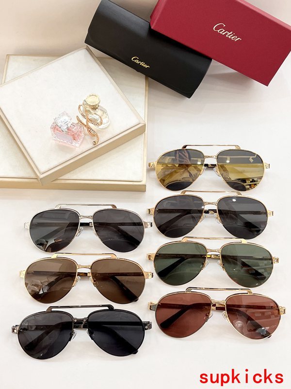 Lifestyle view of Cartier unisex sunglasses