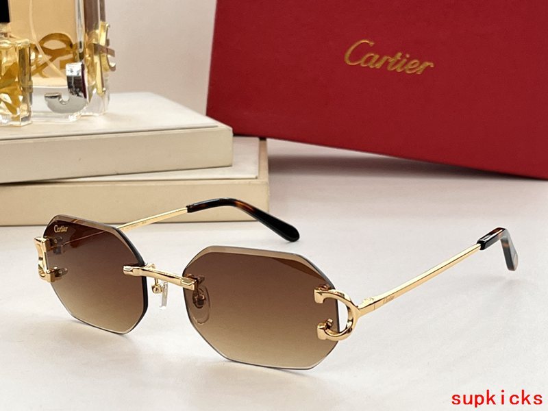 Close-up detail view of Cartier unisex sunglasses