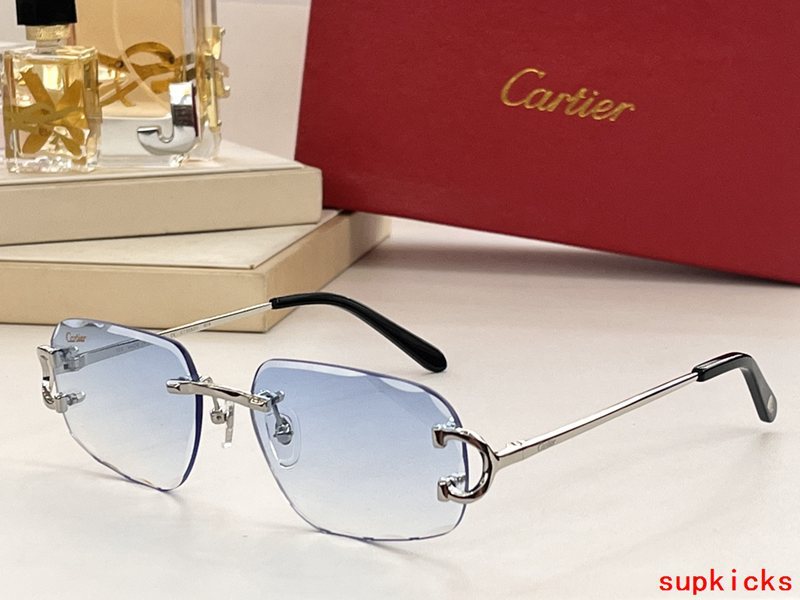 Full view of Cartier unisex sunglasses