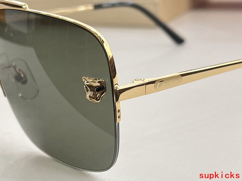 Side view of Cartier unisex sunglasses