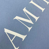 Amiri t-shirt styled look premium fashion