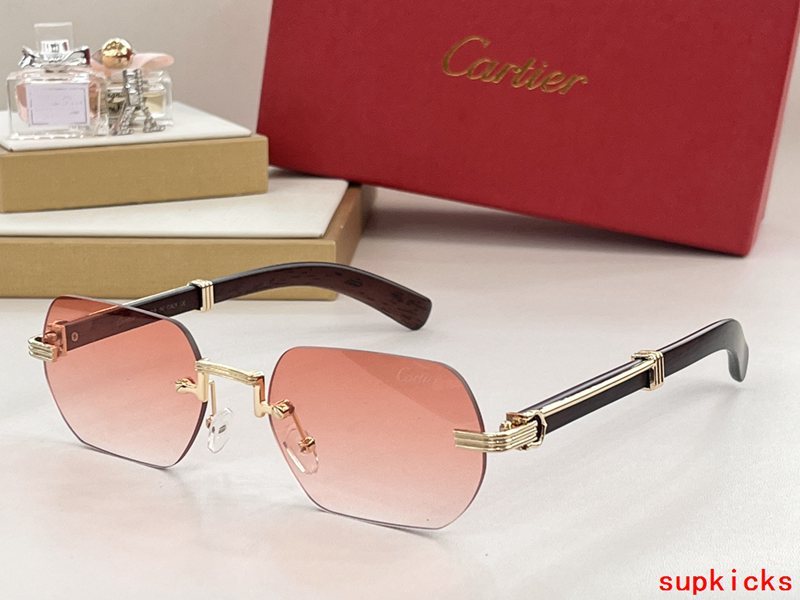 Front view of Cartier unisex sunglasses