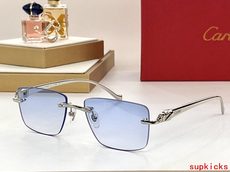 Side view of Cartier unisex sunglasses