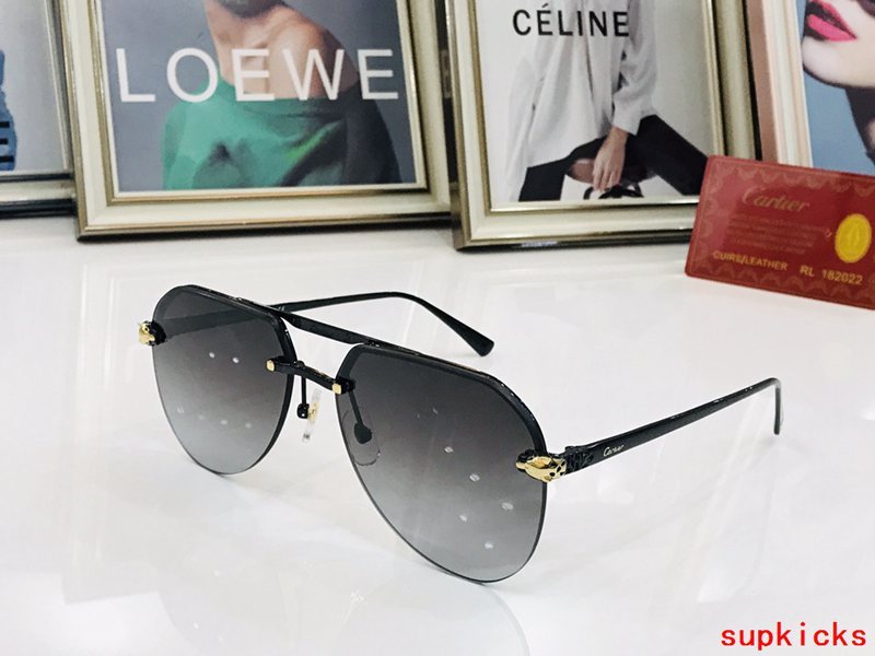 Side view of Cartier unisex sunglasses