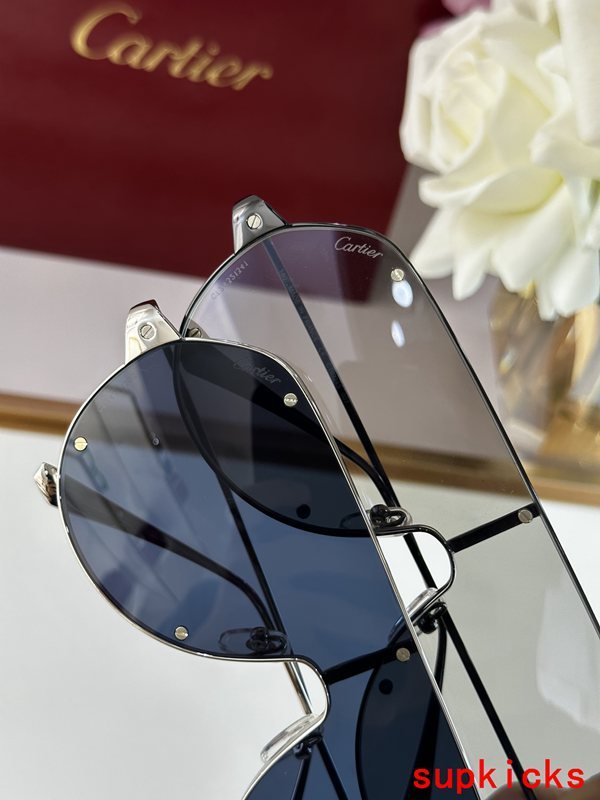 Side view of Cartier unisex sunglasses