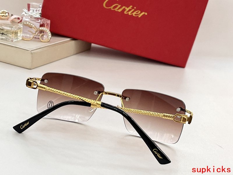 Close-up detail view of Cartier unisex sunglasses