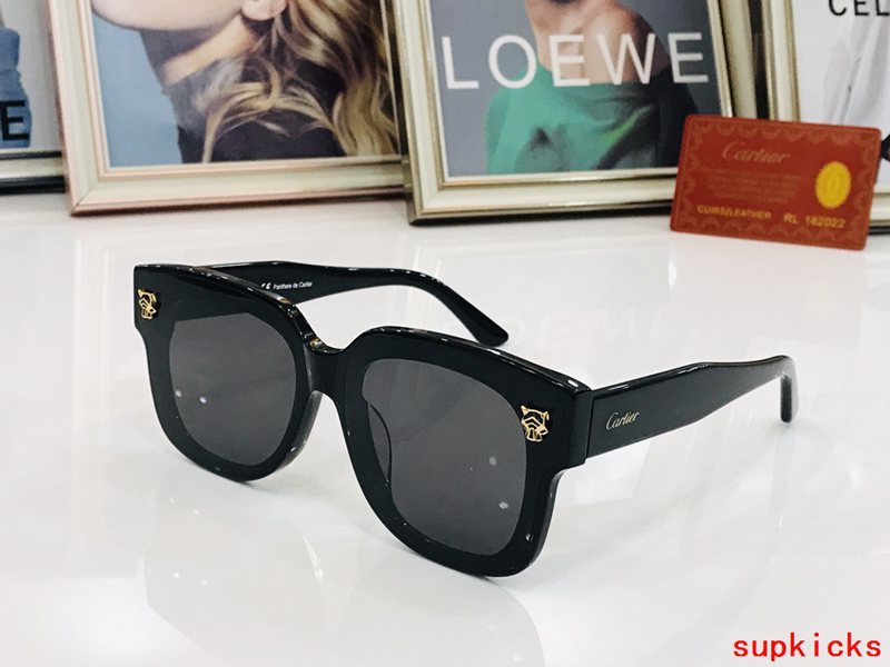 Front view of Cartier unisex sunglasses