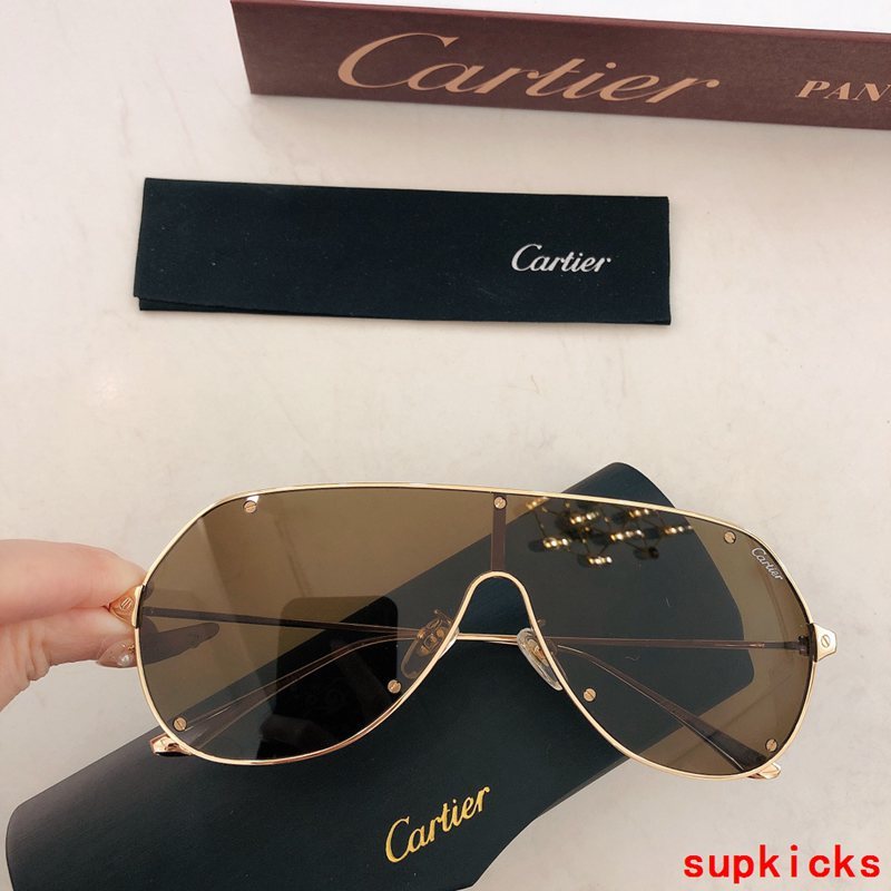 Side view of Cartier unisex sunglasses