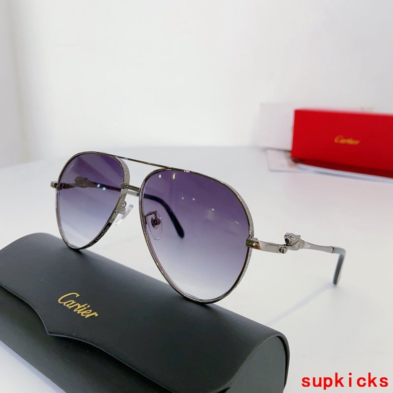 Side view of Cartier unisex sunglasses