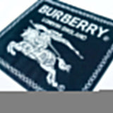 Burberry t-shirt back view — premium authentic designer style