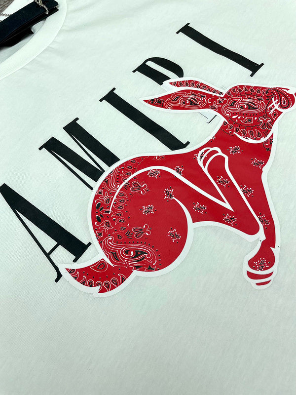 Amiri t-shirt front view designer style